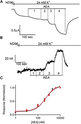 Voltage dependence of the cannabinoid CB1 receptor